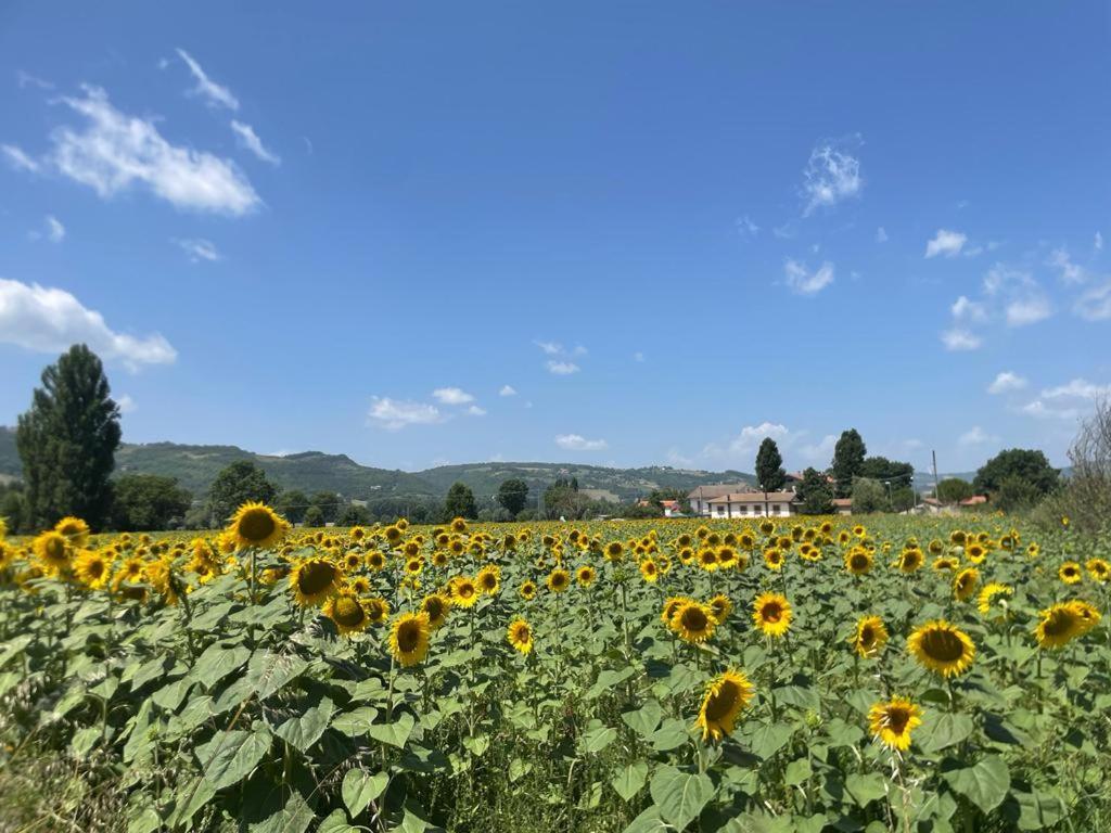 Vila Splendida Dimora Del 1600 Gubbio Exteriér fotografie